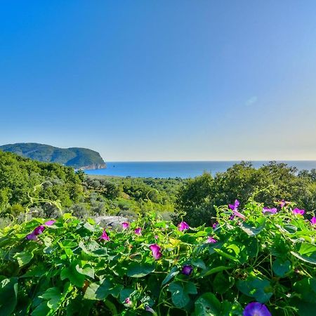 Pataki Studios Petrovac Exteriér fotografie