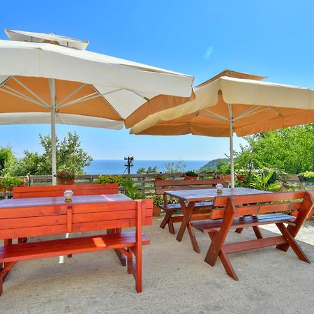 Pataki Studios Petrovac Exteriér fotografie