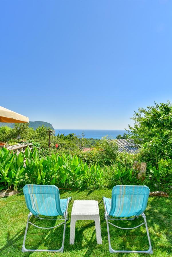 Pataki Studios Petrovac Exteriér fotografie