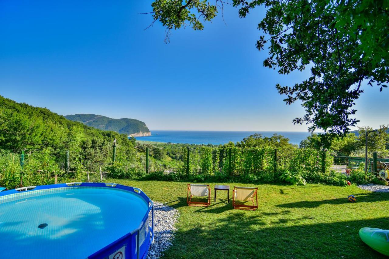 Pataki Studios Petrovac Exteriér fotografie