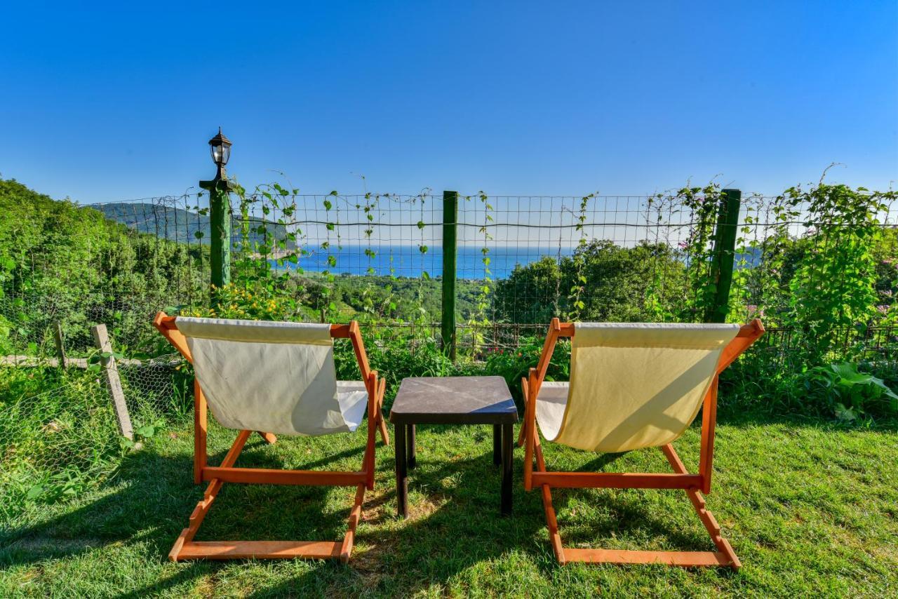Pataki Studios Petrovac Exteriér fotografie