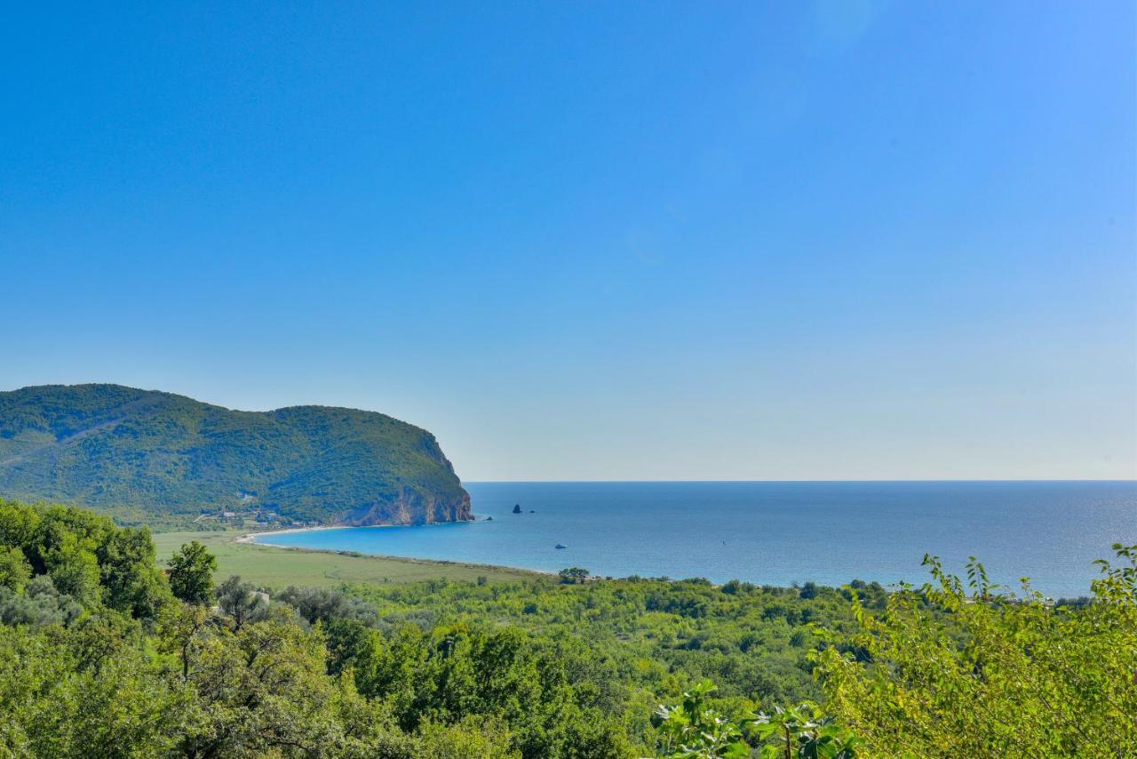 Pataki Studios Petrovac Exteriér fotografie