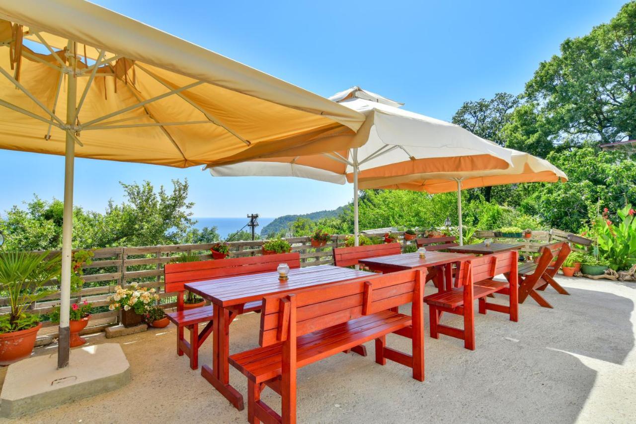 Pataki Studios Petrovac Exteriér fotografie