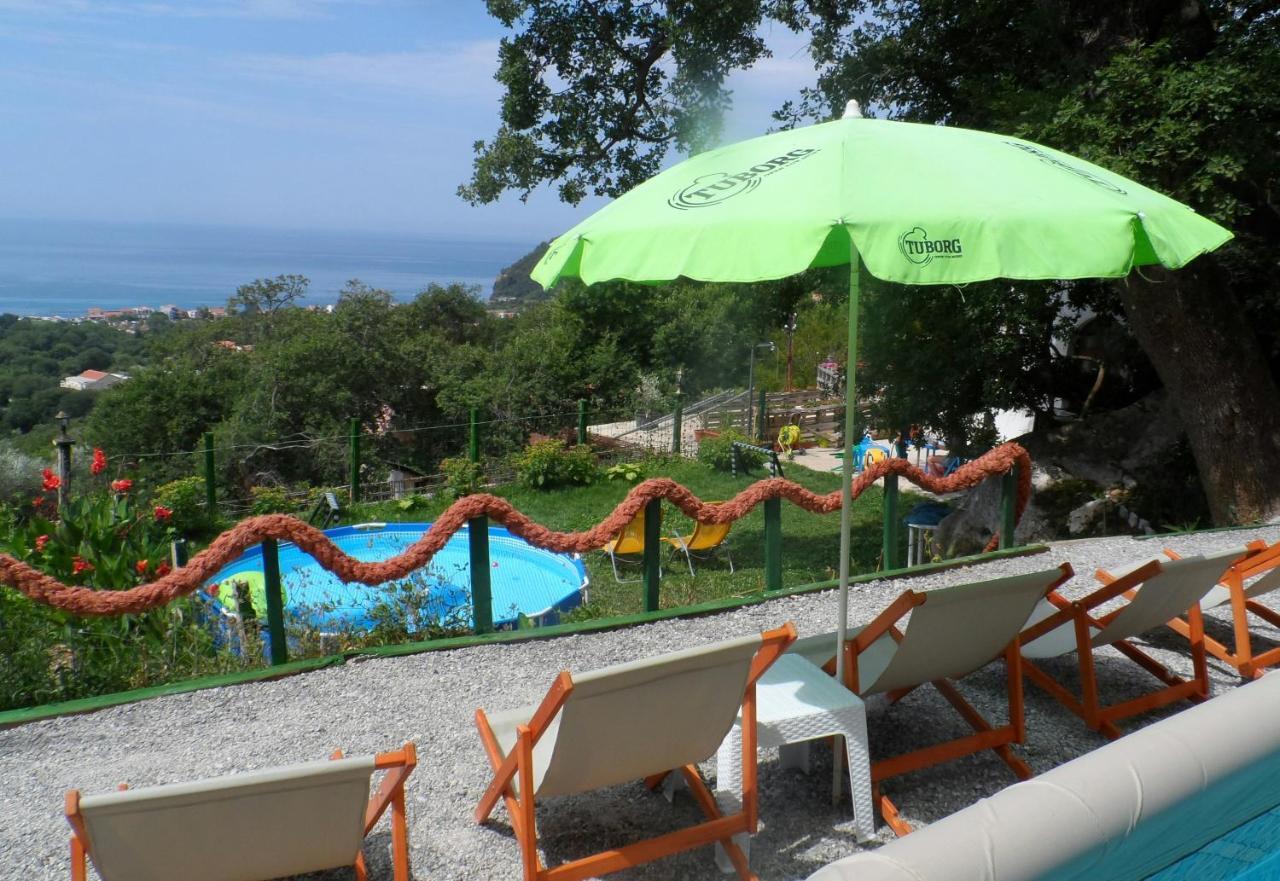Pataki Studios Petrovac Exteriér fotografie