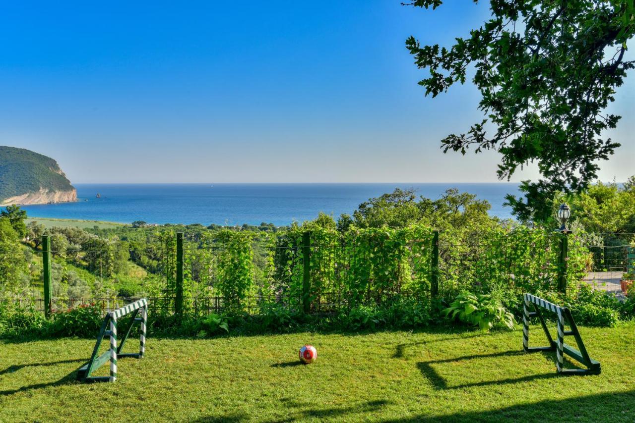 Pataki Studios Petrovac Exteriér fotografie