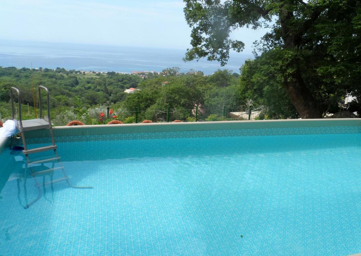 Pataki Studios Petrovac Exteriér fotografie