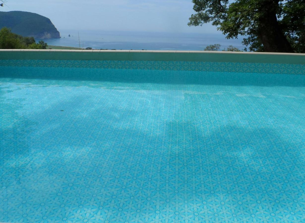 Pataki Studios Petrovac Exteriér fotografie