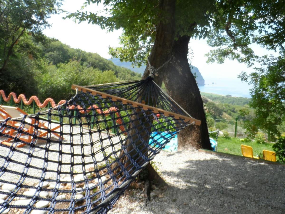 Pataki Studios Petrovac Exteriér fotografie
