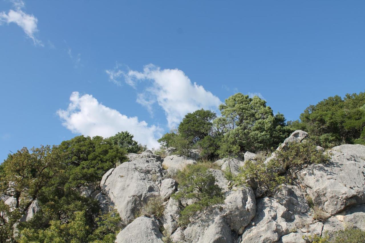 Pataki Studios Petrovac Exteriér fotografie