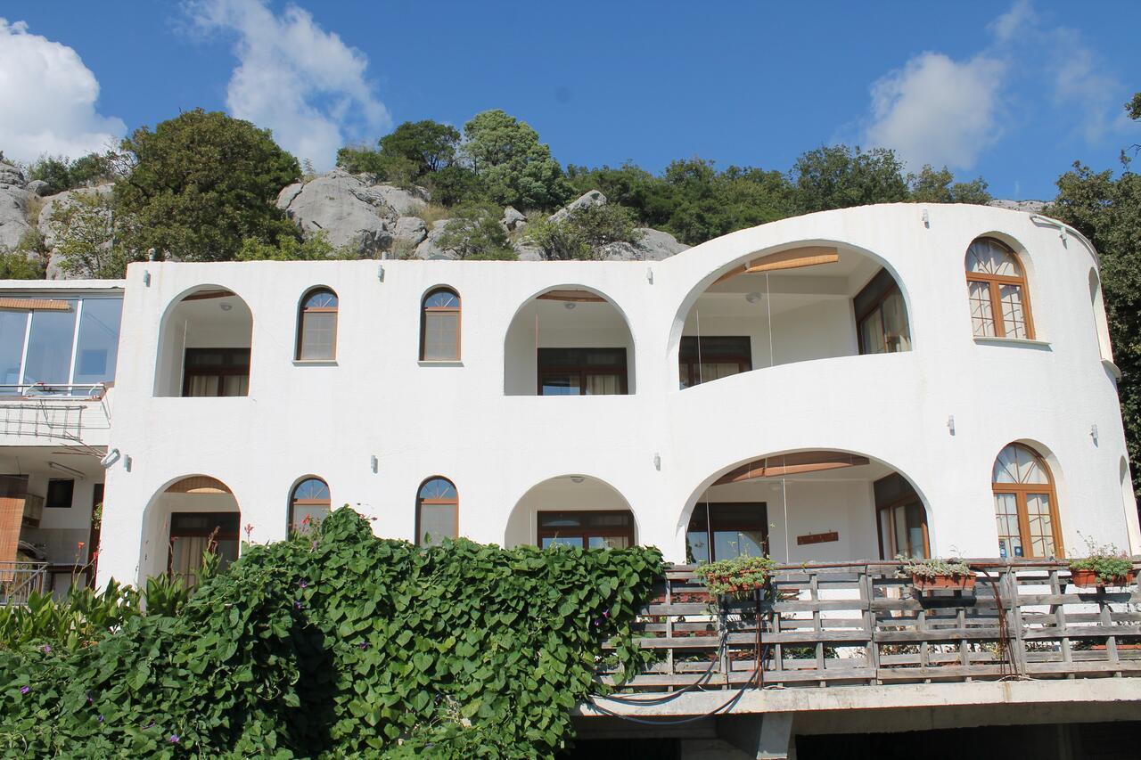 Pataki Studios Petrovac Exteriér fotografie