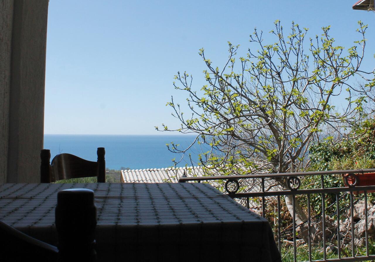 Pataki Studios Petrovac Exteriér fotografie